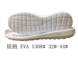 EVA1308.jpg